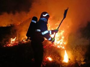 Новина Рятувальники Кіровоградського гарнізону ліквідували п’ять пожеж сухостою та сміття Ранкове місто. Кропивницький