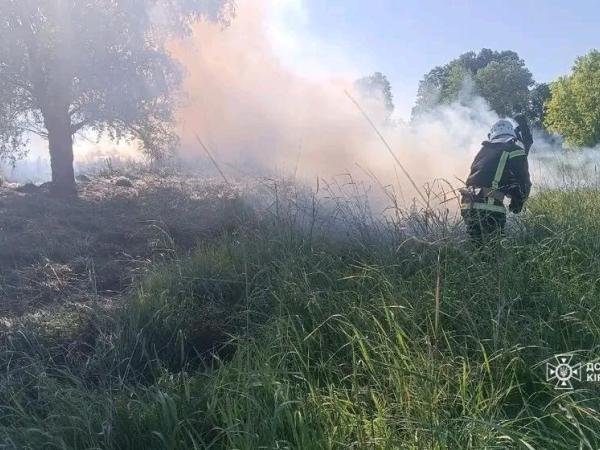 Новина Рятувальники Кіровоградського гарнізону ліквідували п’ять пожеж сухостою та сміття Ранкове місто. Кропивницький