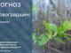 Прогноз погоди на 30 травня по Кіровоградщині