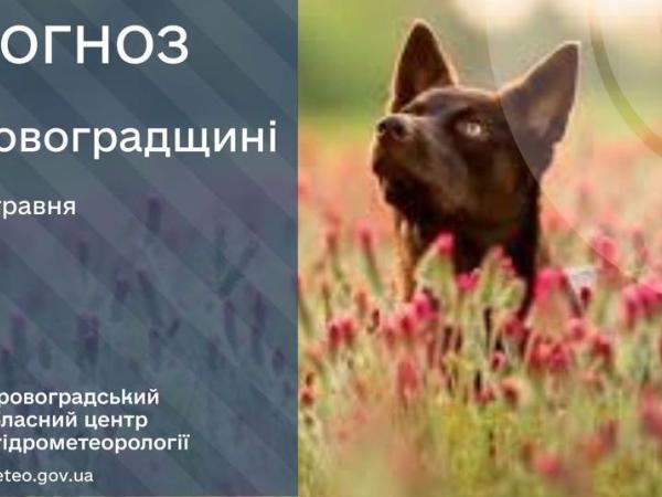 Новина Прогноз погоди на 31 травня по Кіровоградщині Ранкове місто. Кропивницький