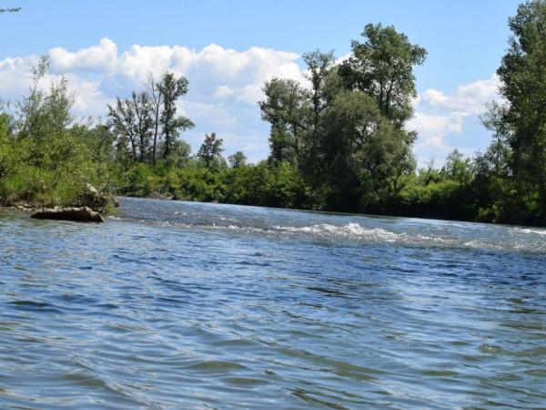 Новина На берег Тиси біля українсько-румунського кордону винесло тіло 10-го з початку травня потопельника Ранкове місто. Кропивницький