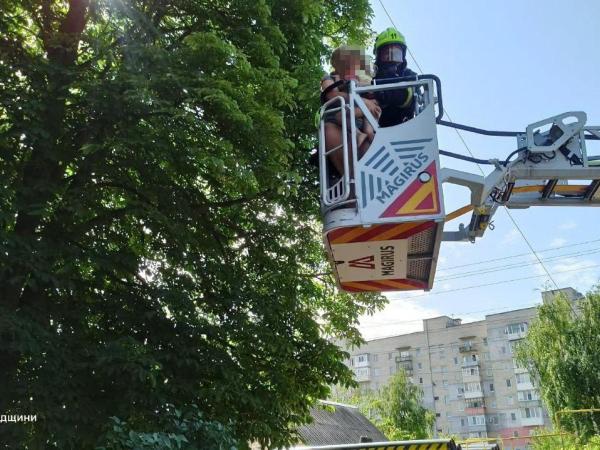 Новина Олександрія: під час ліквідації пожежі в багатоповерхівці бійці ДСНС врятували жінку з дитиною та чотирилапого улюбленця родини Ранкове місто. Кропивницький