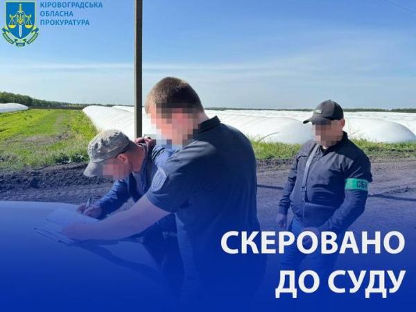 Новина Незаконна рубка дерев зі збитками 4,2 млн гривень: судитимуть членів ОЗГ Ранкове місто. Кропивницький