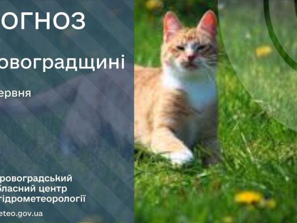 Новина Прогноз погоди на 7 червня по Кіровоградщині Ранкове місто. Кропивницький