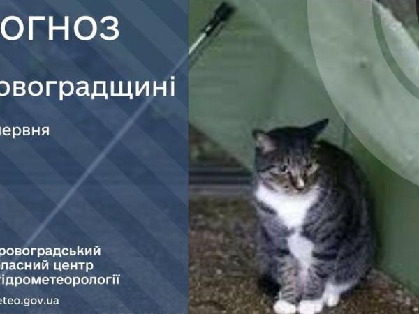 Новина Прогноз погоди на 12 червня по Кіровоградщині Ранкове місто. Кропивницький