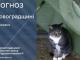 Прогноз погоди на 12 червня по Кіровоградщині