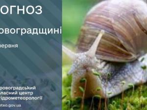 Новина Прогноз погоди на 14 червня по Кіровоградщині Ранкове місто. Кропивницький