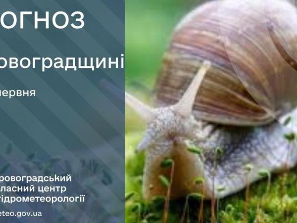 Новина Прогноз погоди на 14 червня по Кіровоградщині Ранкове місто. Кропивницький