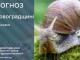 Прогноз погоди на 14 червня по Кіровоградщині