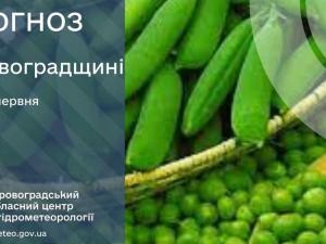 Новина Прогноз погоди на 17 червня по Кіровоградщині Ранкове місто. Кропивницький