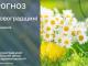 Прогноз погоди на 19 червня по Кіровоградщині