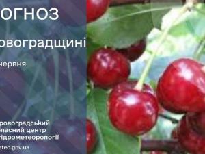 Новина Прогноз погоди на 24 червня по Кіровоградщині Ранкове місто. Кропивницький