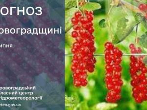 Новина Прогноз погоди на 3 липня по Кіровоградщині Ранкове місто. Кропивницький