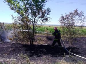 Новина На Кіровоградщині виникло сімнадцять пожеж на відкритих територіях Ранкове місто. Кропивницький