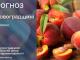Прогноз погоди на 16 липня по Кіровоградщині
