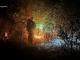 Новина Кіровоградська область: рятувальники приборкали тринадцять пожеж на відкритих територіях Ранкове місто. Кропивницький