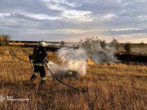 Новина На Кіровоградщині за добу, що минула, ліквідовано сім займань в екосистемі Ранкове місто. Кропивницький