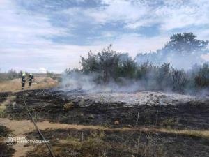 Новина На Кіровоградщині за добу, що минула, ліквідовано дванадцять займань в екосистемі Ранкове місто. Кропивницький