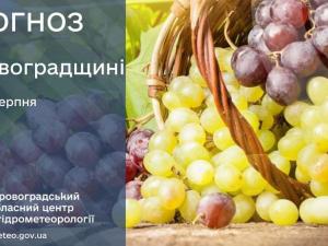 Новина Прогноз погоди на 9 серпня по Кіровоградщині Ранкове місто. Кропивницький