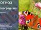 Прогноз погоди на 10 серпня по Кіровоградщині