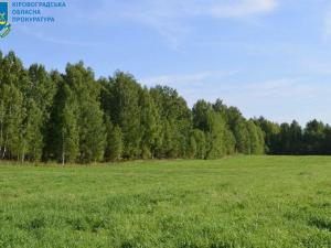 Новина Лісовий масив вартістю 12 млн грн повернуто у державну власність Ранкове місто. Кропивницький