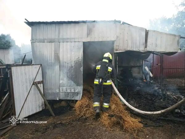 Новина Кіровоградська область: протягом доби ліквідовано чотири пожежі різного характеру Ранкове місто. Кропивницький