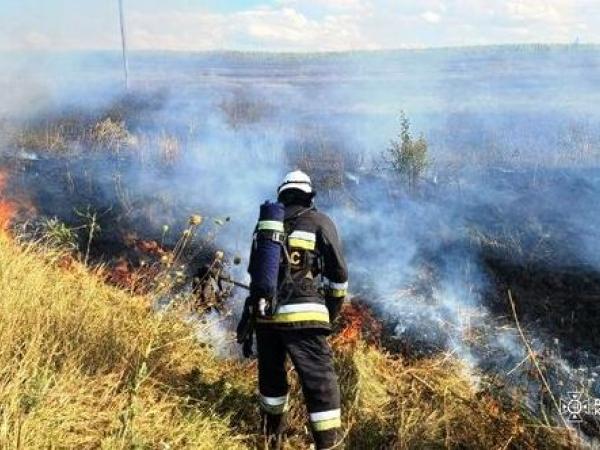 Новина На Кіровоградщині за добу, що минула, ліквідовано тринадцять займань в екосистемі Ранкове місто. Кропивницький