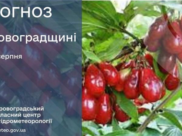 Новина Прогноз погоди на 12 серпня по Кіровоградщині Ранкове місто. Кропивницький