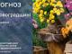 Прогноз погоди на 13 серпня по Кіровоградщині