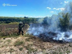 Новина Кіровоградщина: ліквідовано п’ятнадцять загорань в екосистемі Ранкове місто. Кропивницький