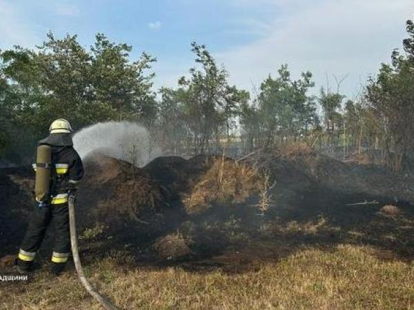 Новина Кіровоградщина: підрозділи ДСНС ліквідували двадцять три пожежі в екосистемі Ранкове місто. Кропивницький