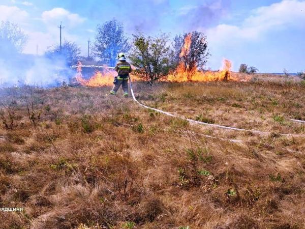 Новина Кіровоградщина: підрозділи ДСНС ліквідували тридцять чотири пожежі в екосистемі Ранкове місто. Кропивницький