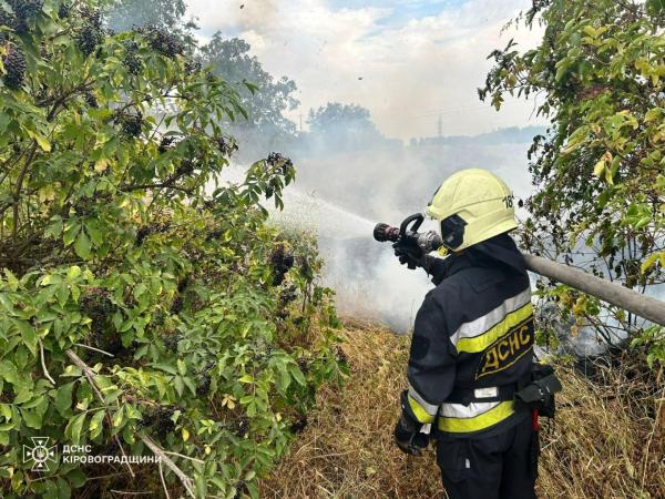 Новина Кіровоградщина: за добу ліквідовано двадцять три пожежі в екосистемі Ранкове місто. Кропивницький