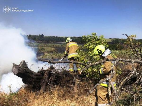 Новина Кіровоградська область: підрозділи ДСНС ліквідували двадцять три пожежі на відкритих територіях Ранкове місто. Кропивницький