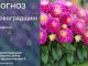 Прогноз погоди на 30 серпня по Кіровоградщині