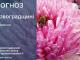Прогноз погоди на 2 вересня по Кіровоградщині