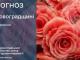 Прогноз погоди на 8 вересня по Кіровоградщині