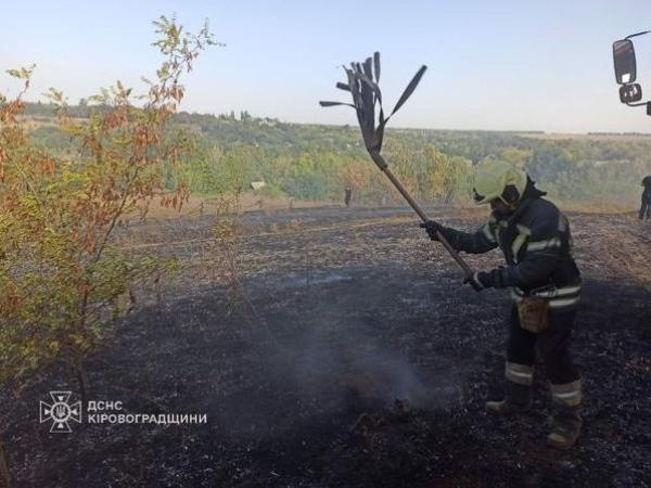 Новина Рятувальники загасили майже три десятка пожеж на відкритих територіях, на одній з яких травмовано людину Ранкове місто. Кропивницький