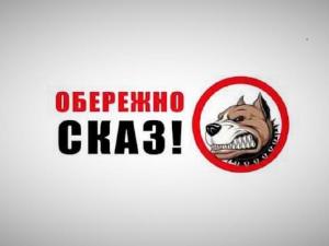 Новина Що треба знати про сказ: важливі факти для мешканців Кропивницького Ранкове місто. Кропивницький