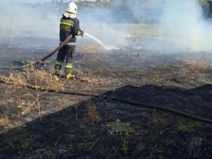 Новина Кіровоградські рятувальники приборкали п’ять пожеж сухої трави Ранкове місто. Кропивницький