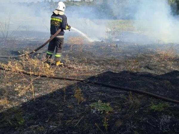 Новина Кіровоградські рятувальники приборкали п’ять пожеж сухої трави Ранкове місто. Кропивницький