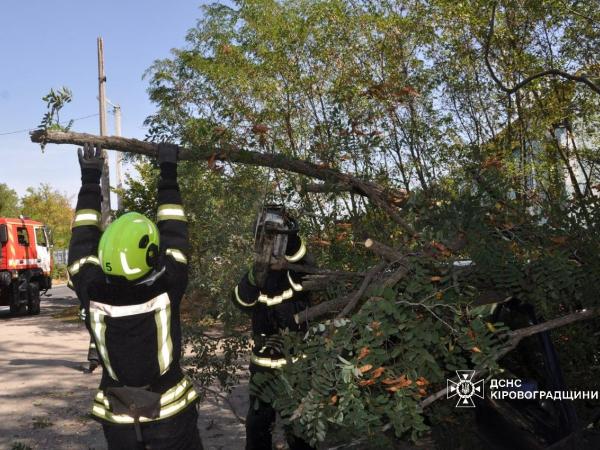 Новина Кропивницький район: рятувальники прибрали повалені внаслідок негоди дерева Ранкове місто. Кропивницький