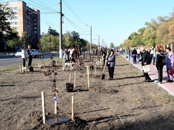 Новина Алея Героїв у Кропивницькому – символ пам’яті та єднання Ранкове місто. Кропивницький