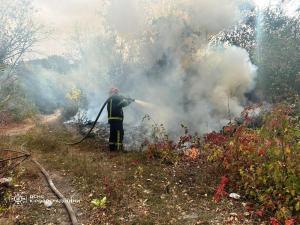 Новина Кіровоградська область: рятувальники загасили 15 пожеж на відкритих територіях Ранкове місто. Кропивницький