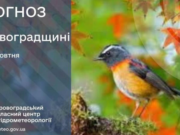 Новина Прогноз погоди на 10 жовтня по Кіровоградщині Ранкове місто. Кропивницький