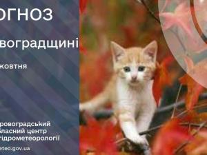 Новина Прогноз погоди на 19 жовтня по Кіровоградщині Ранкове місто. Кропивницький