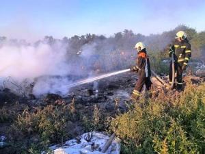 Новина За добу, що минула, на Кіровоградщині загасили дві пожежі на відкритих територіях Ранкове місто. Кропивницький