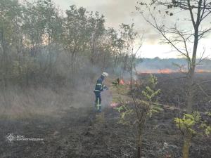 Новина Кіровоградські рятувальники загасили пожежу сухої трави та легкового автомобіля Ранкове місто. Кропивницький