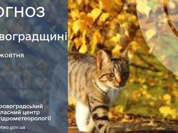 Новина Прогноз погоди на 28 жовтня по Кіровоградщині Ранкове місто. Кропивницький