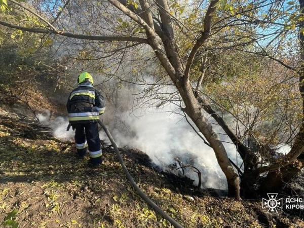 Новина Кіровоградська область: за добу ліквідовано три пожежі різного характеру Ранкове місто. Кропивницький